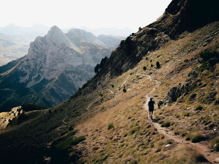 Lee más sobre el artículo La 11ª edición llegará el primer fin de semana de septiembre